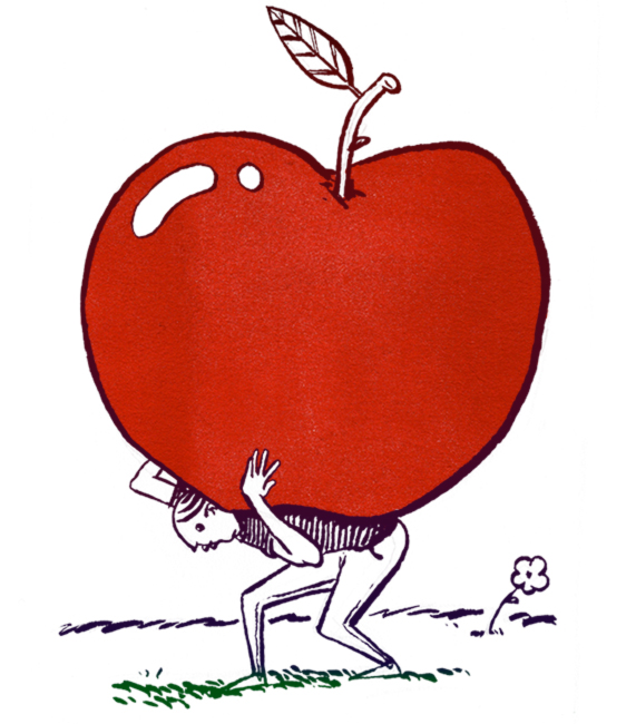 ZEITGUIDE TO THE GYMPOCALYPSE