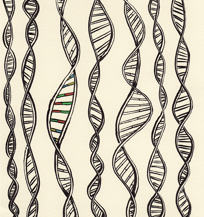 ZEITGUIDE TO GENE DRIVES